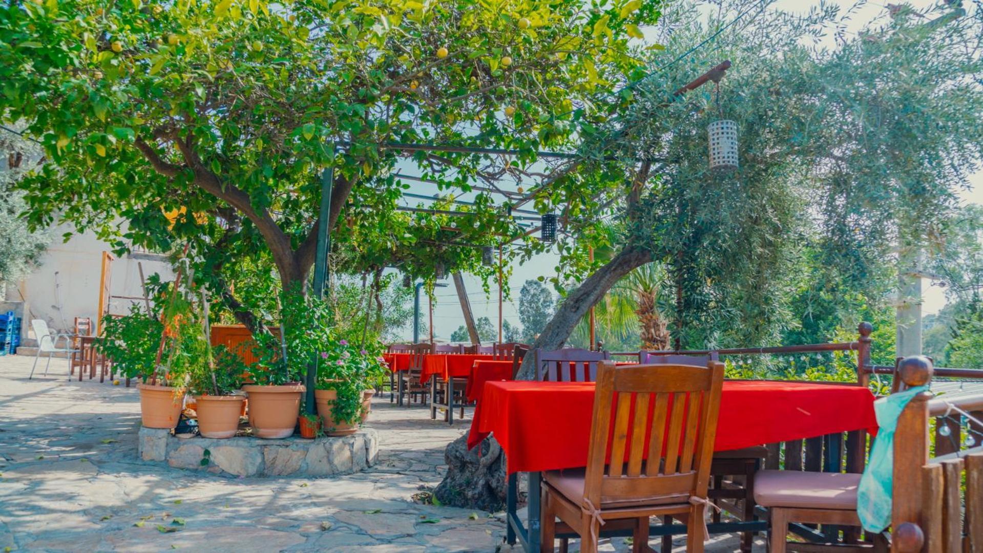 St. Nicholas Pension Patara Luaran gambar